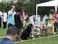 img 061